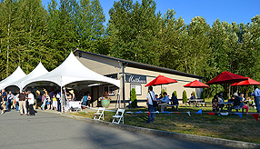 DREAM VISION FUNDRAISER FOR JAPAN RELIEF AT THE MATTHEWS WINERY